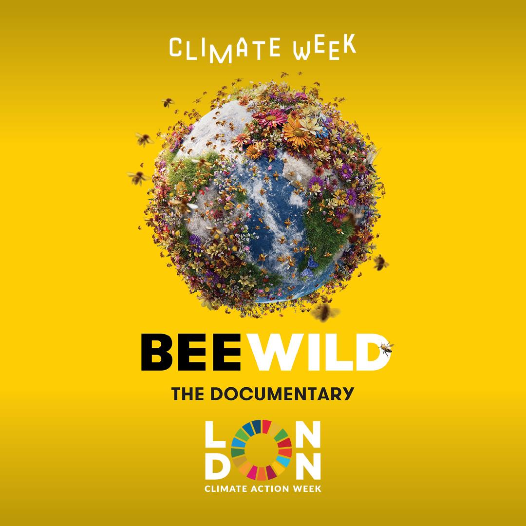 BEE WILD: a Documentary
