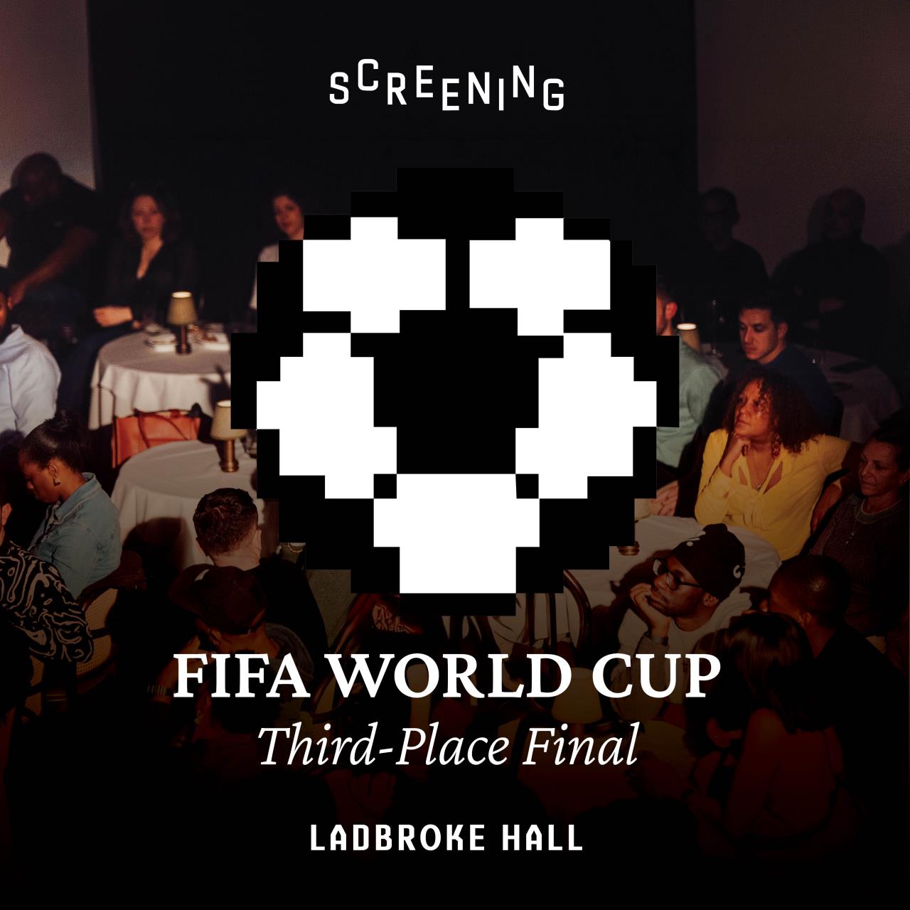 FIFA World Cup - Third Place Final