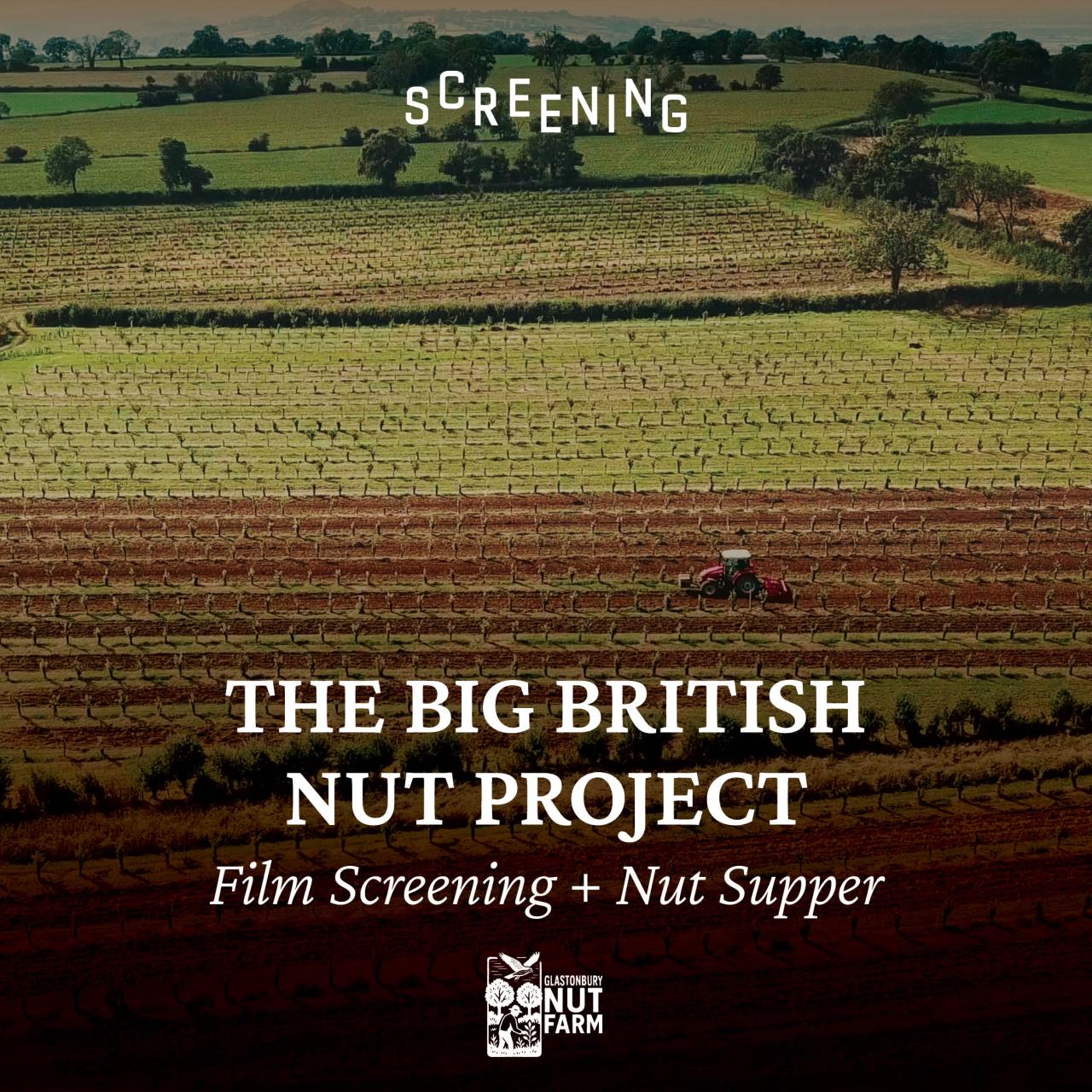 A Celebration of British Nuts | The Nut Farmer of Glastonbury